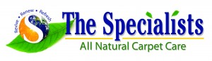 Logo for The Specialists